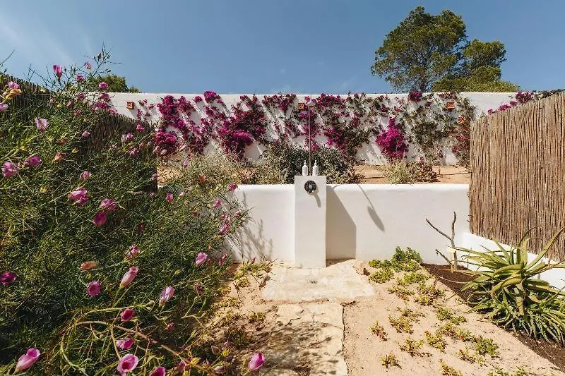 Petunia Ibiza, A Beaumier Hotel (Adults Only) Cala Vadella
